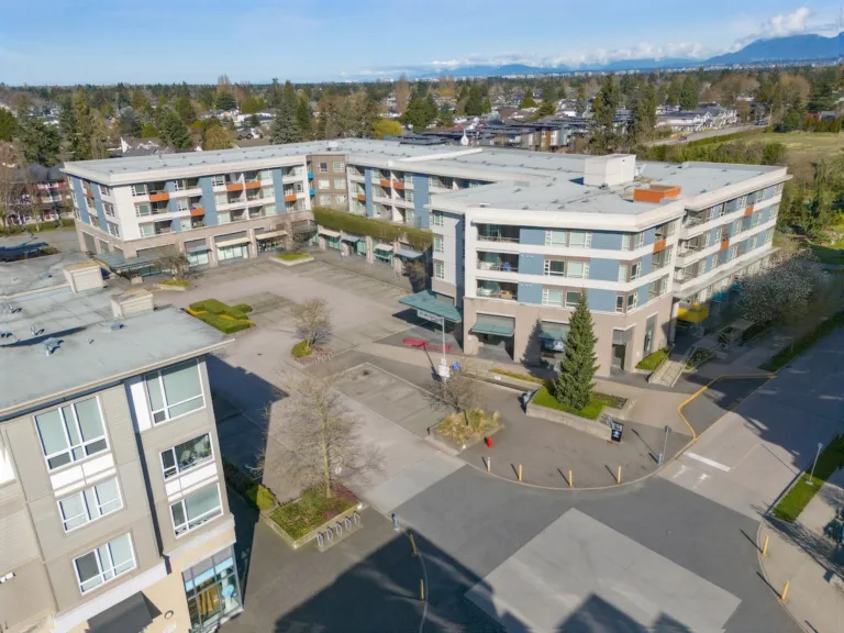 Camellia at The Gardens