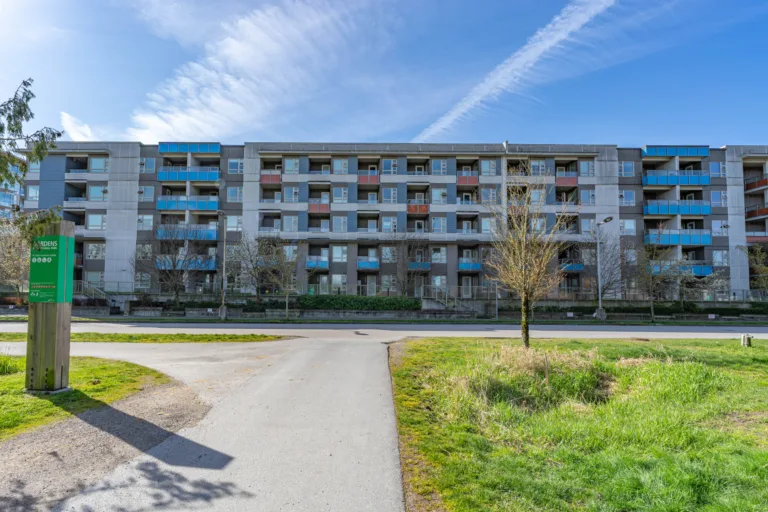 Camellia at The Gardens