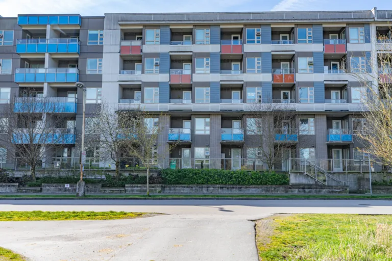 Camellia at The Gardens